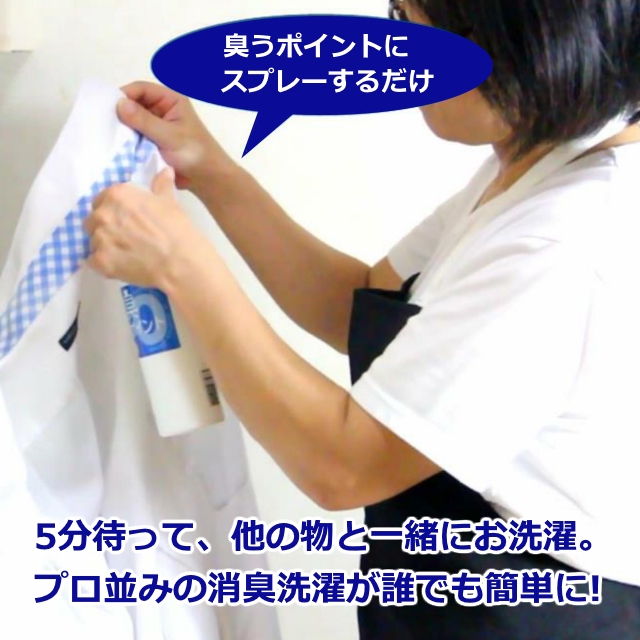 洗剤 DSシリーズ DSカオス 特殊な体臭・ワキガ臭用 300ml 10本セット