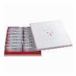 あまおう苺のバターサンド１０個入