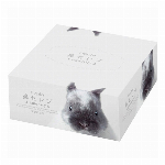 ＢＭＩメジャー（１．５ｍ）