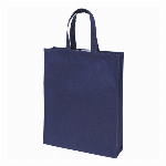 ビズソフトバッグＴＧ?Ａ４