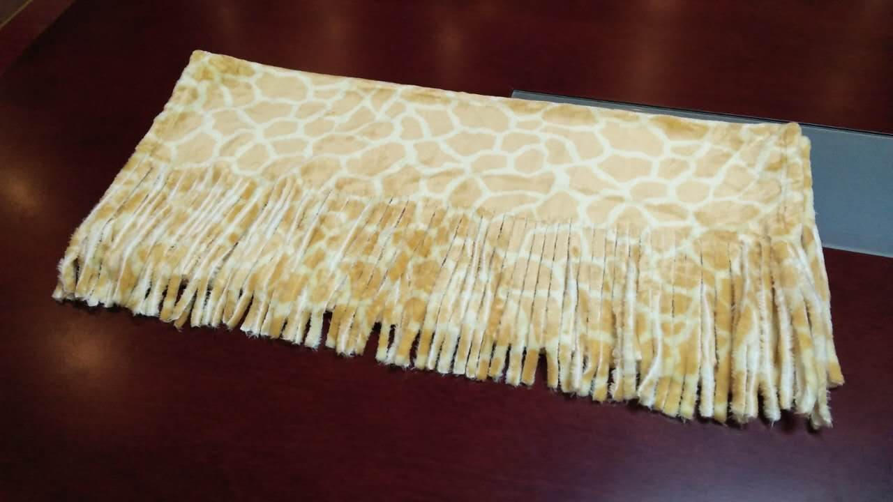 photo3