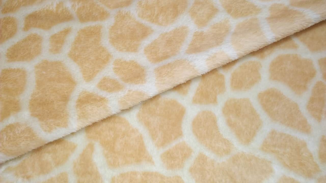 photo8