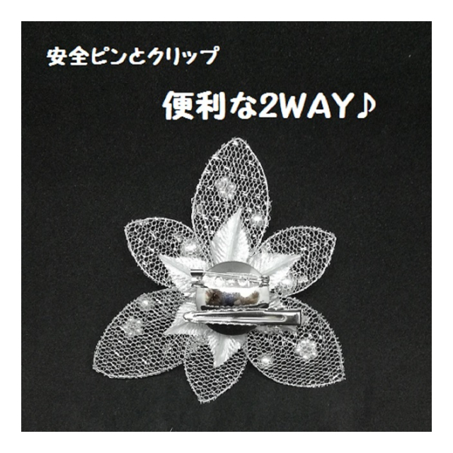 photo4