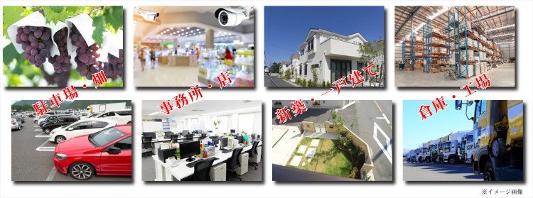 photo3