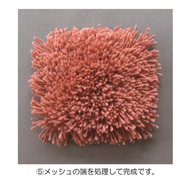 photo5