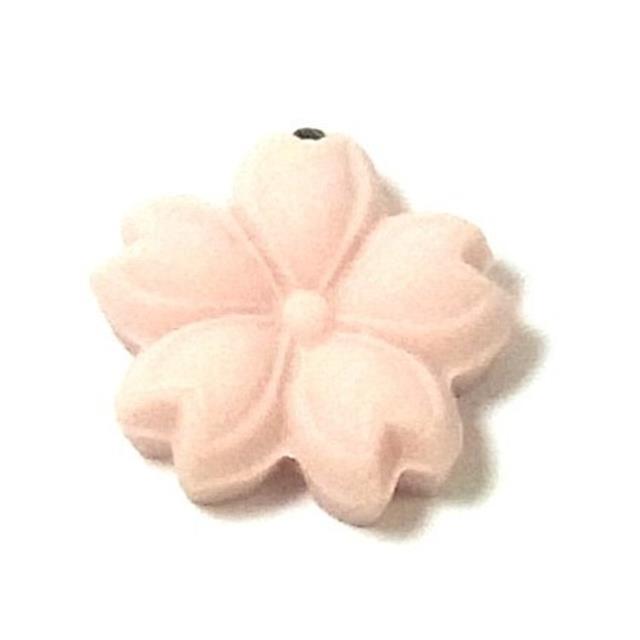 photo1