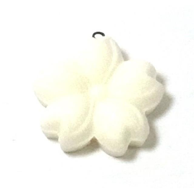 photo1
