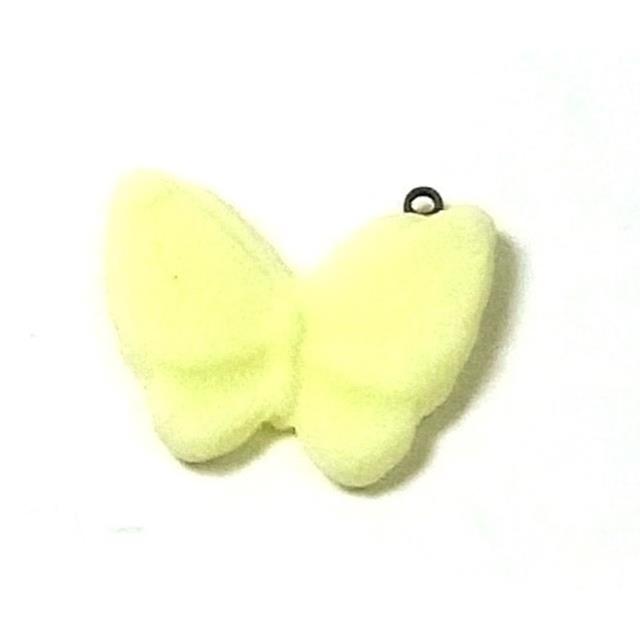 photo1