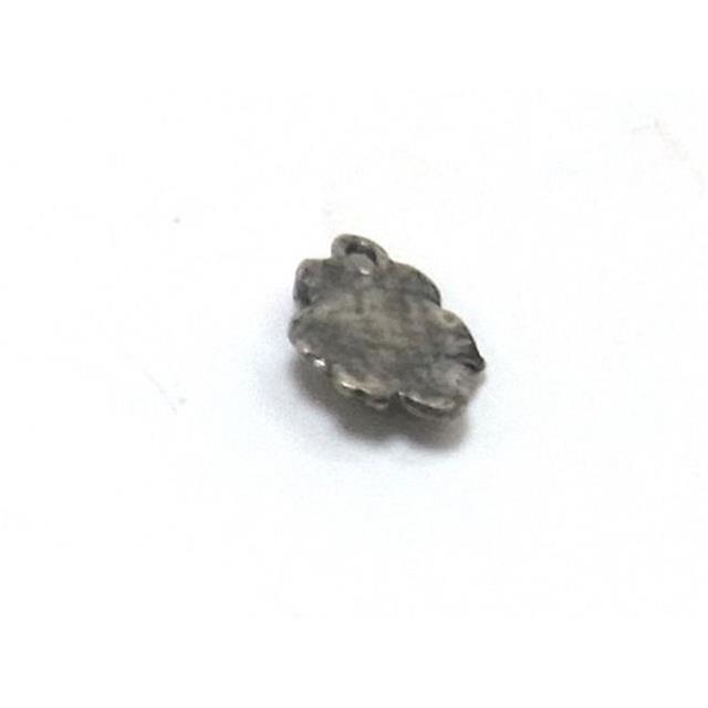 photo2