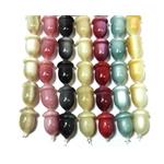 フランスタッセル