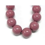 【新商品】ミガキパール