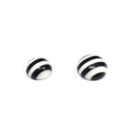 【新商品】ミガキパール