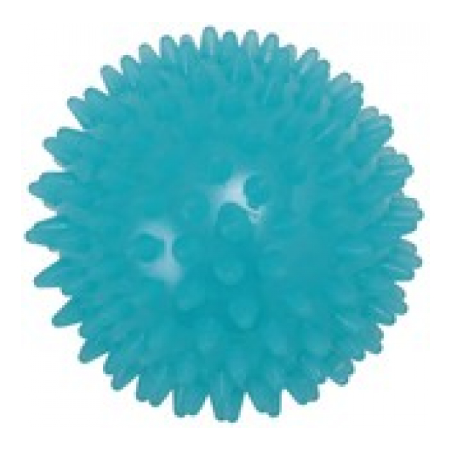 photo1