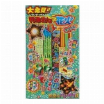 花火屋の本気　バラエティ花火　4497