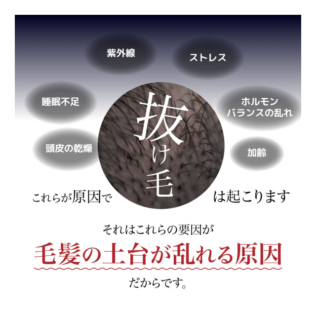 photo4