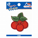 アップリケ [車]