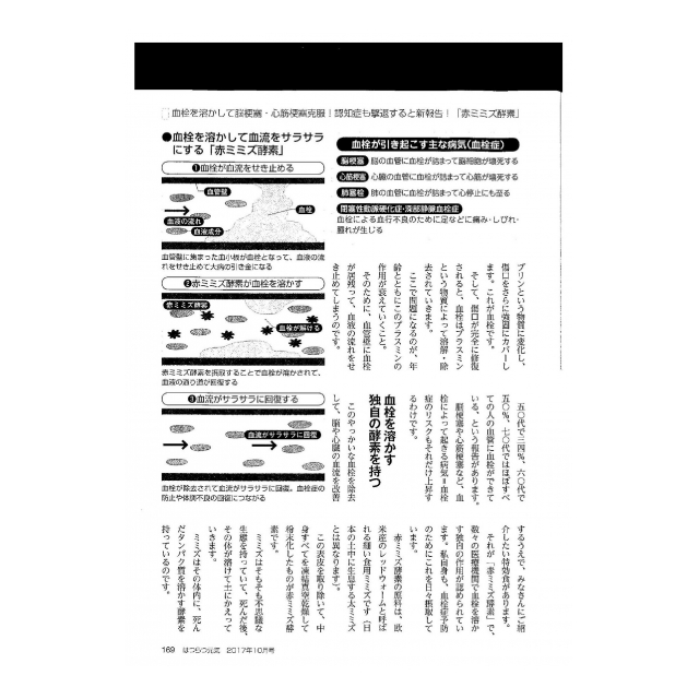photo7