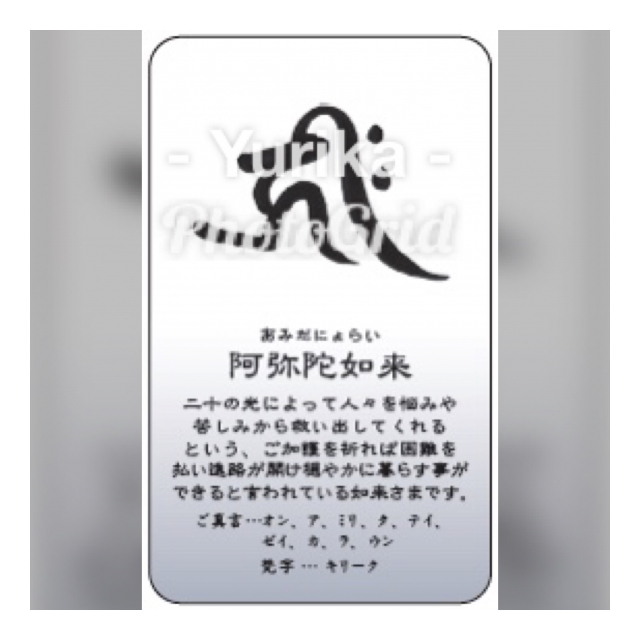 photo3