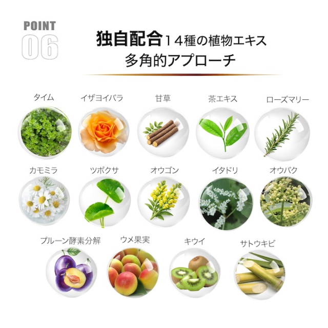 photo8