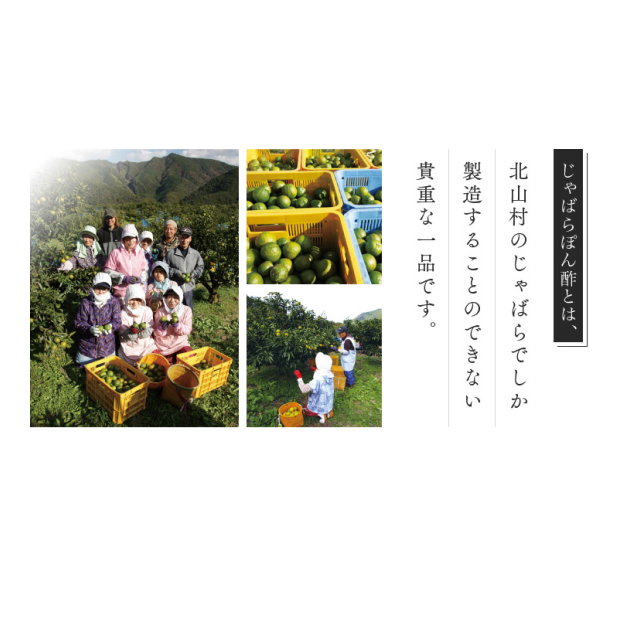 photo5