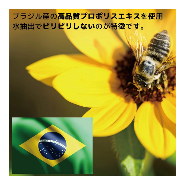 photo4
