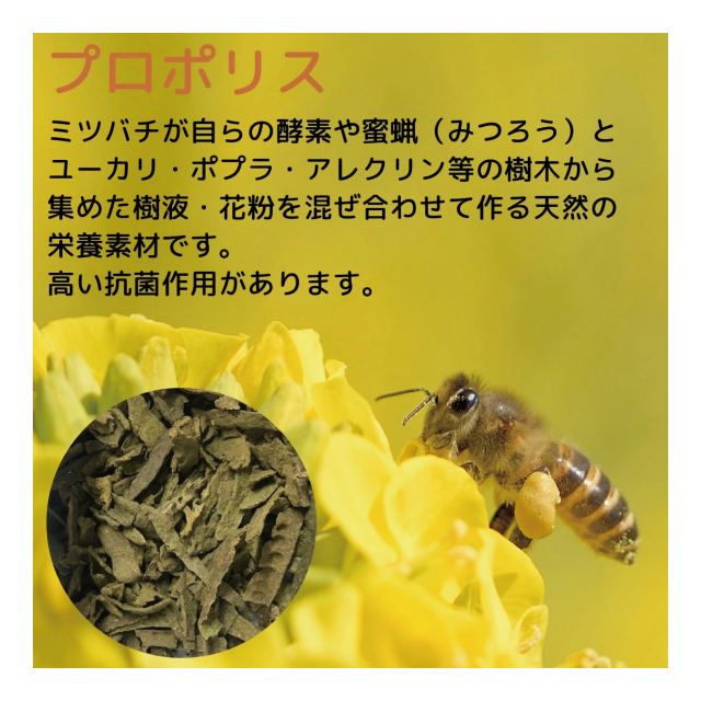 photo5