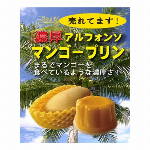 【1甲で送料無料】”濃厚！夏は特に売れ行き◎”ヤマキ　マンゴープリン”　※条件あり