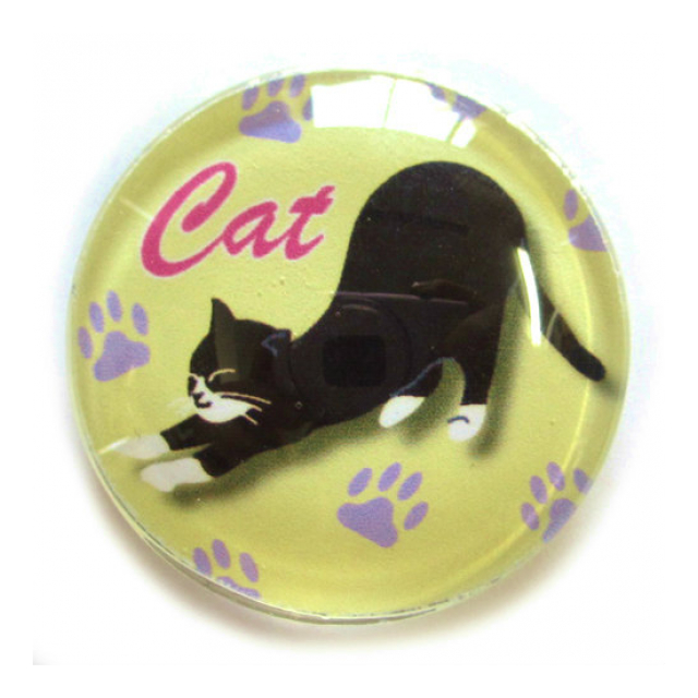 マグネット伸びネコ ソックス 猫 株式会社 リュードバック 品番 03m3605 の卸 問屋 仕入れ 卸売り ザッカネット マグネット伸びネコ ソックス 猫 株式会社 リュードバック 品番 03m3605 の卸 問屋 仕入れ 卸売り ザッカネット