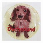マグネットＭｉｘ　ＢＫ 犬