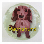 マグネットダックスフンド　ＹＥ 犬