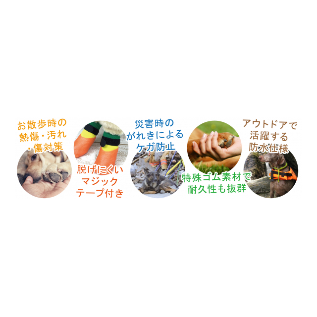 photo5