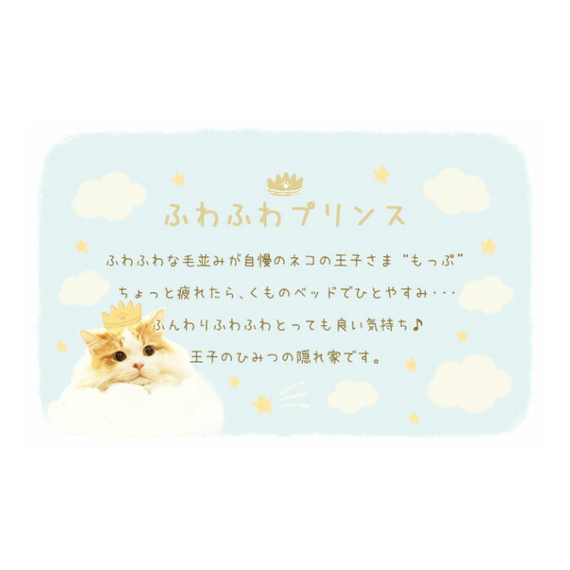 photo6