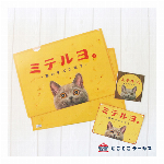 A6クリアファイル ねこ「kyou wa donna hi?-お魚さんはじめまし..