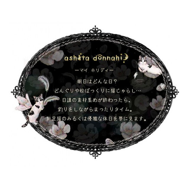 photo8