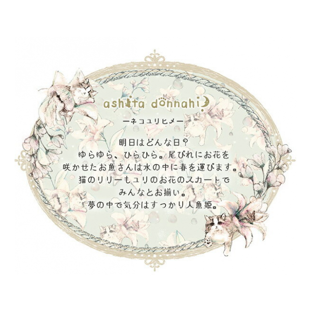 photo8