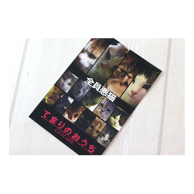 photo6