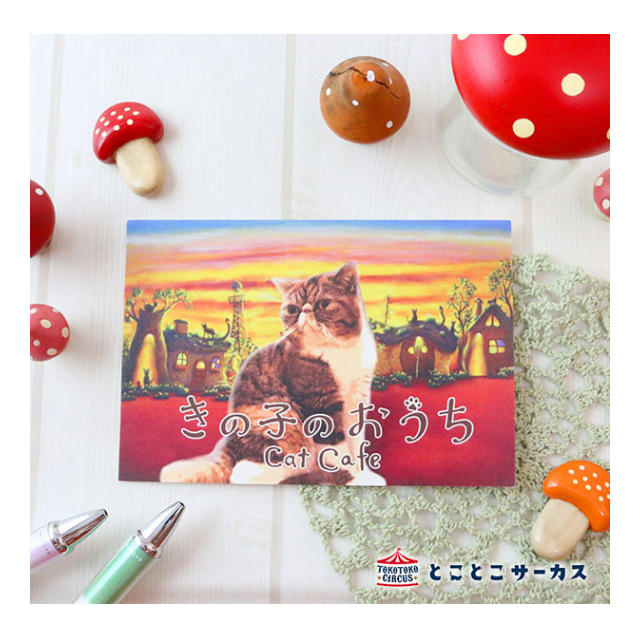 photo1
