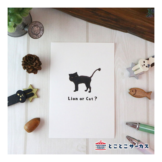 ポストカード ねこ「 I'm a cat」