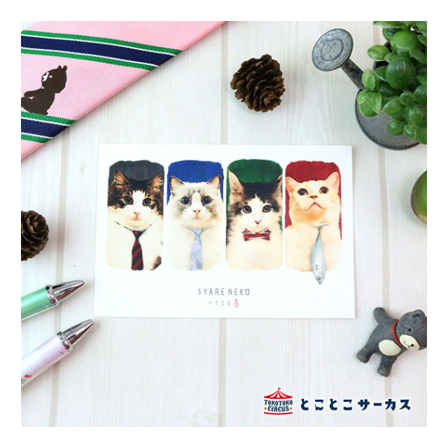 ポストカード ねこ「SYARENEKO×TIE」