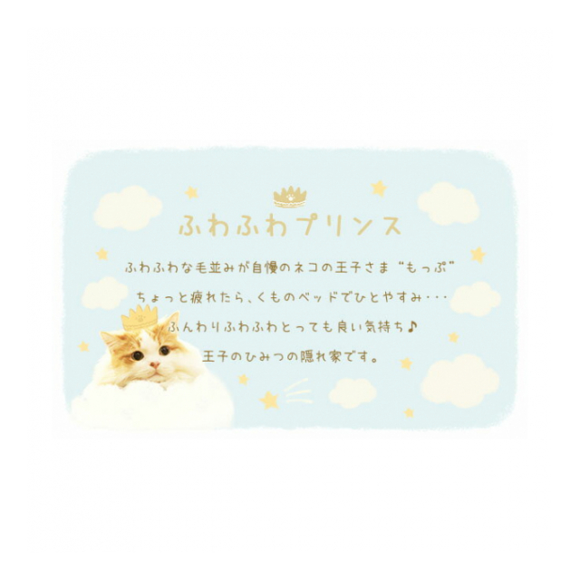 photo5