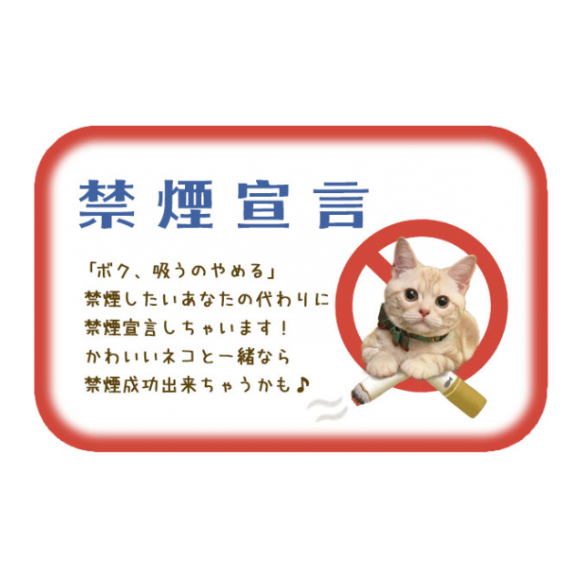 photo6