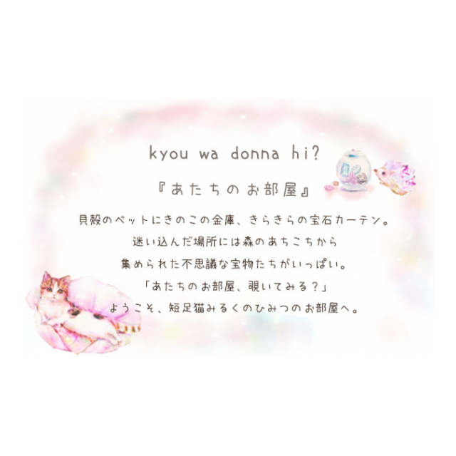 photo6