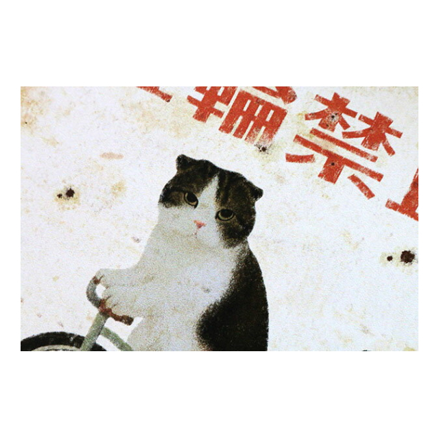 photo4