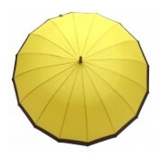 photo5