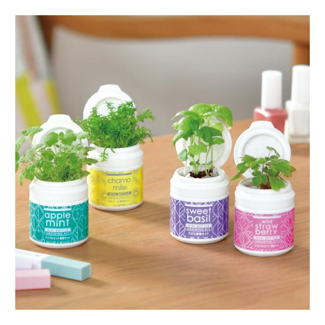 ミニボトルハーブス GD1005 栽培キット - 株式会社センター商事 [品番