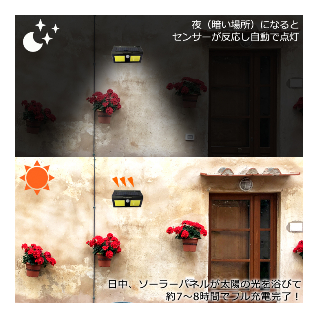 photo2