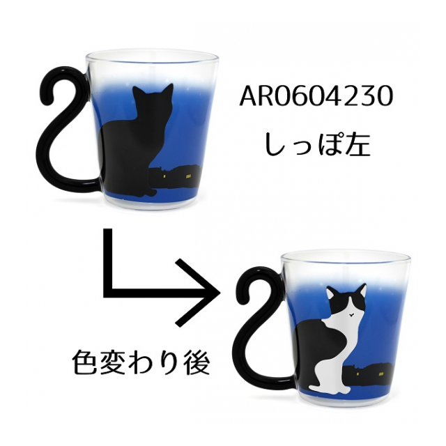 photo3