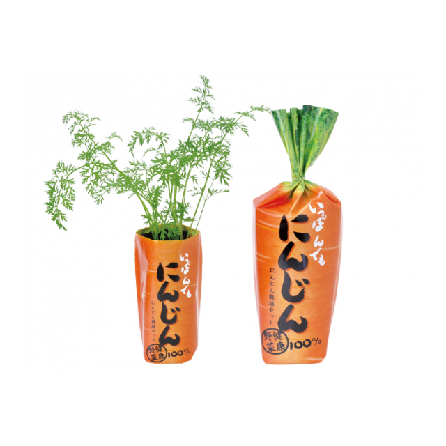 一本でもにんじん Gd 392 野菜栽培キット 株式会社センター商事 品番 の卸 問屋 仕入れ 卸売り ザッカネット