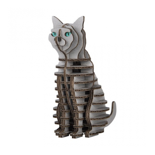 photo1