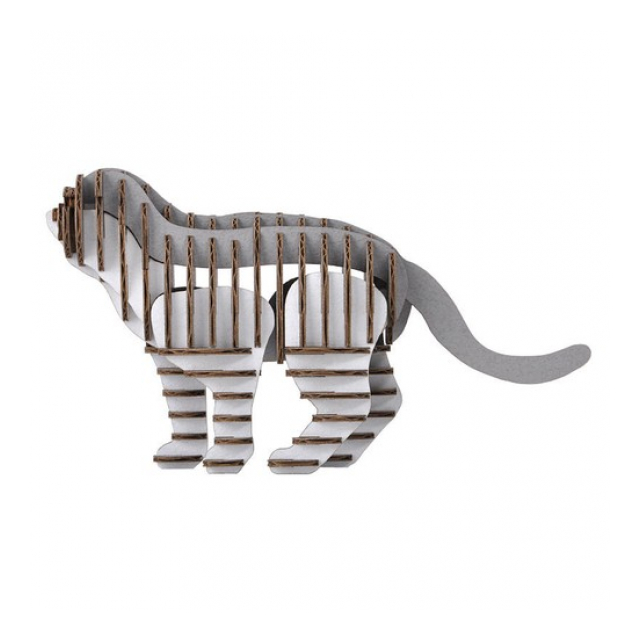photo2